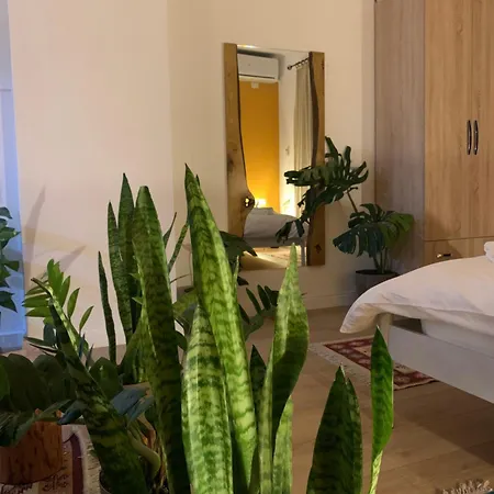 Vibe Διαμέρισμα *